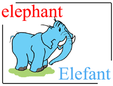 Bildwörterbuch Elephant / Elefant