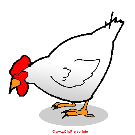 Huhn Bild Clipart kostenlos