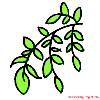 Pflanze, Gif Clipart kostenlos herunterladen