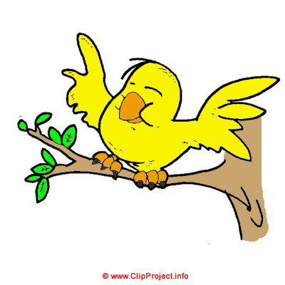 Vogel Häher Clipart Bild kostenlos