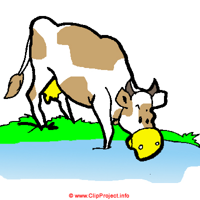 Ochse am See Clipart Bild kostenlos