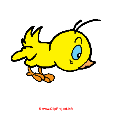 Küken Clipart Bild kostenlos