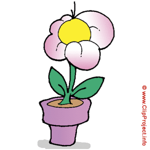 Blume, Gif Clipart kostenlos herunterladen