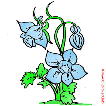 Blume, Gif Clipart kostenlos herunterladen