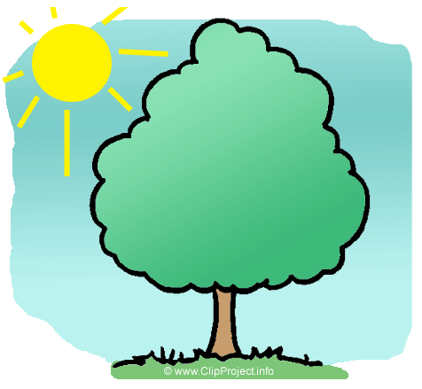 Baum Clipart Frühling gratis download