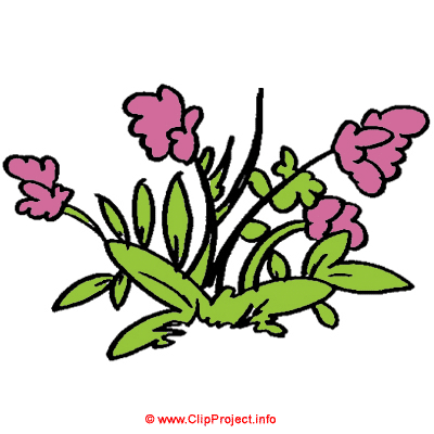 Blumen, Gif Clipart kostenlos herunterladen