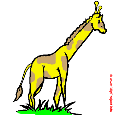 Giraffe Clipart Bild kostenlos