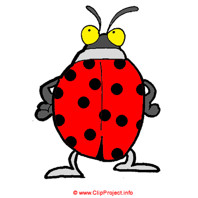 Marienkäfer Clipart Bild kostenlos