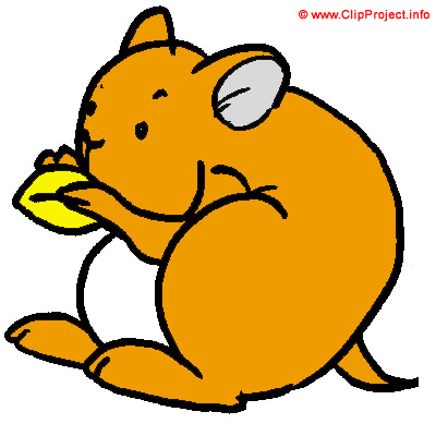 Hamster Clipart Bild kostenlos