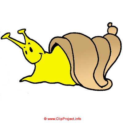 Schnecke Clipart Bild kostenlos