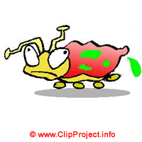 Käfer Clipart Bild kostenlos