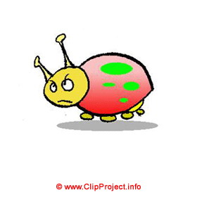 Märienkäfer Clipart Bild kostenlos