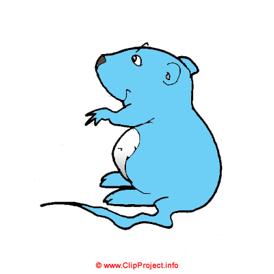 Hamster Clipart Bild kostenlos