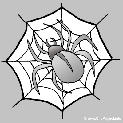 Spinne und Spinnennetz Clipart Bild kostenlos