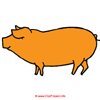 Schwein Bild Clipart kostenlos