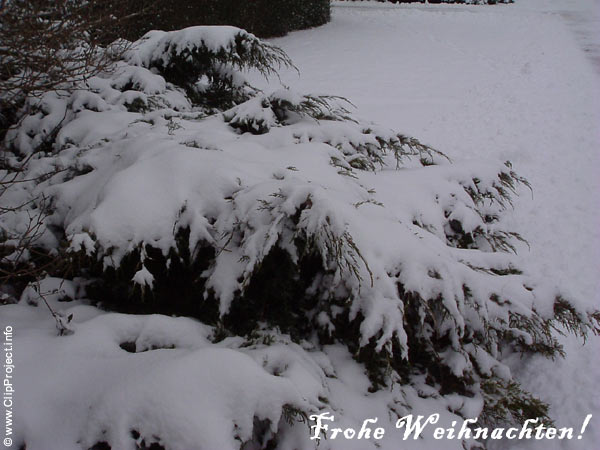 Frohe Weihnachten, Neujahr, Grußkarten kostenlos herunterladen