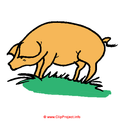 Schwein im Stall Clipart Bild kostenlos