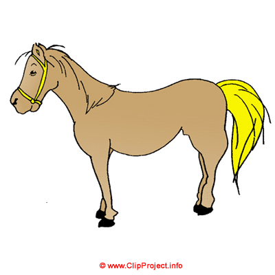 Pferd Bild Clipart kostenlos