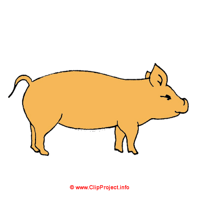 Ferkel Clipart Bild kostenlos