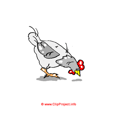 Huhn Clipart Bild kostenlos