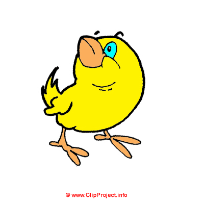 Küken auf dem Bauernhof Clipart Bild kostenlos