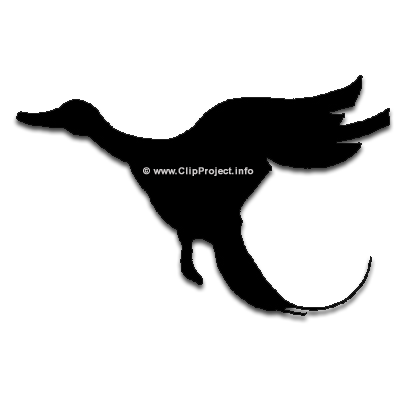 Ente Clipart Bild kostenlos Ente Clipart Bild kostenlos