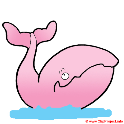 Wal Clipart Bild kostenlos Wal Clipart Bild kostenlos